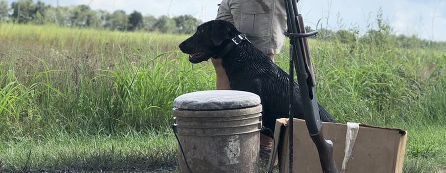 Mulberry Creek Kennels